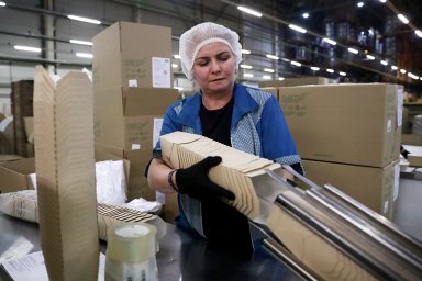 В России будет развиваться переработка упаковочных материалов