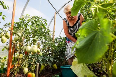 В Госдуме предложили ввести меры поддержки для садоводов