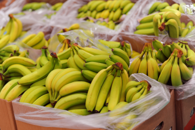 Президент оценил шансы производства бананов в России