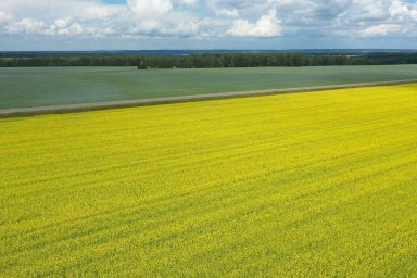 Производители минеральных удобрений вложат свыше 1,6 триллиона рублей в агротехнологии для отечестве