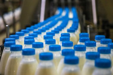 Россия экспортировала в 2021 году более 1 млн тонн молочной продукции