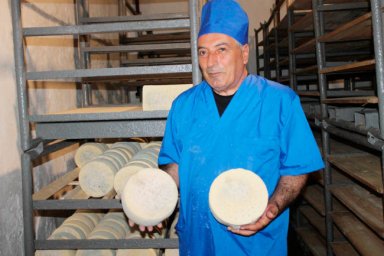 В омском сельском кооперативе налажено производство деликатесных сыров