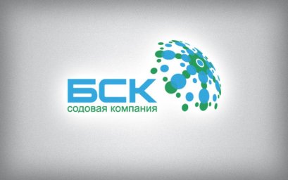 Путин утвердил передачу контрольного пакета акций БСК Башкирии