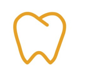 ООО ДЕНТАЛ СИТИ ПЛЮС