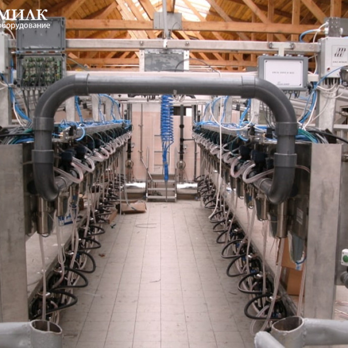 Доильные залы типа &laquo;Параллель&raquo; с системами управления стадом SCR и Afimilk от ООО &laquo;Унимилк&raquo;.