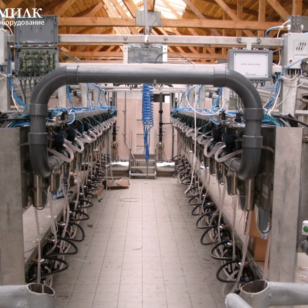 Доильные залы типа &laquo;Параллель&raquo; с системами управления стадом SCR и Afimilk от ООО &laquo;Унимилк&raquo;. 0